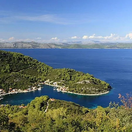 Vera - Comfort One-bedroom With Terrace And Sea View Irena *