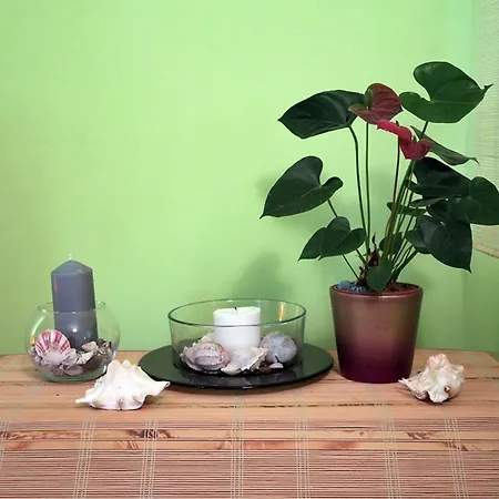 Apartment Vera - Comfort One-bedroom With Terrace And Sea View Irena Okuklje