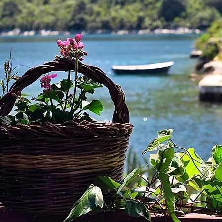 Vera - Comfort One-bedroom With Terrace And Sea View Irena * Okuklje