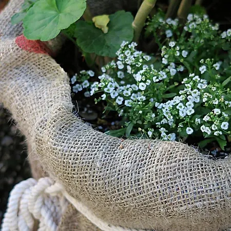 Apartment Vera - Comfort One-bedroom With Terrace And Sea View Irena *