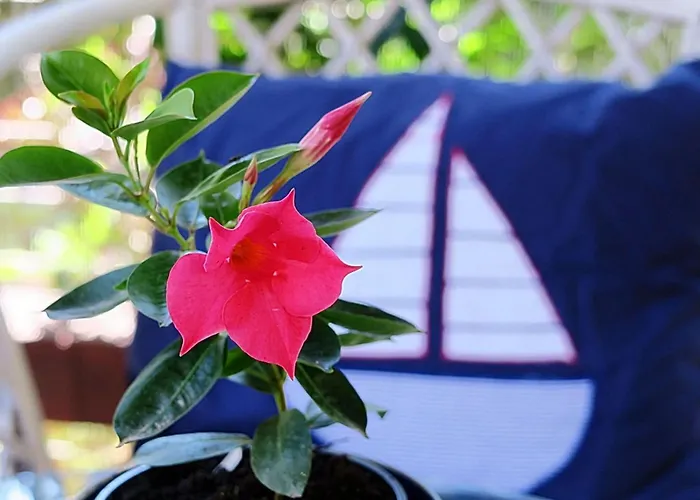 Vera - Comfort One-bedroom With Terrace And Sea View Irena *