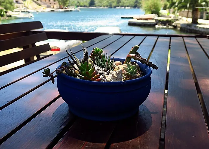 Appartement Vera - Comfort One-bedroom With Terrace And Sea View Irena Okuklje