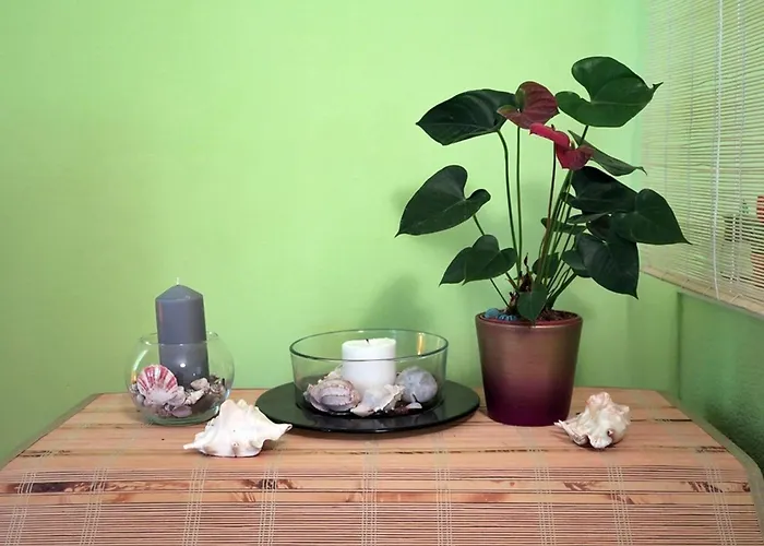 Appartement Vera - Comfort One-bedroom With Terrace And Sea View Irena Okuklje