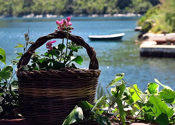 Vera - Comfort One-bedroom With Terrace And Sea View Irena * Okuklje