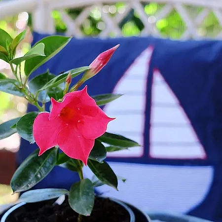 Vera - Comfort One-bedroom With Terrace And Sea View Irena *