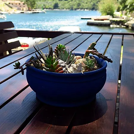 Lägenhet Vera - Comfort One-bedroom With Terrace And Sea View Irena Okuklje