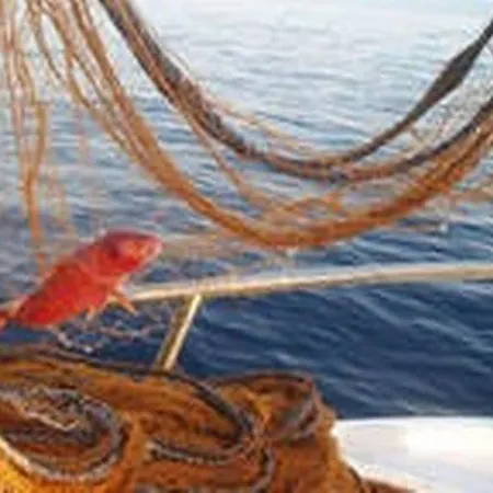 Vera - Comfort One-bedroom With Terrace And Sea View Irena Lägenhet Okuklje