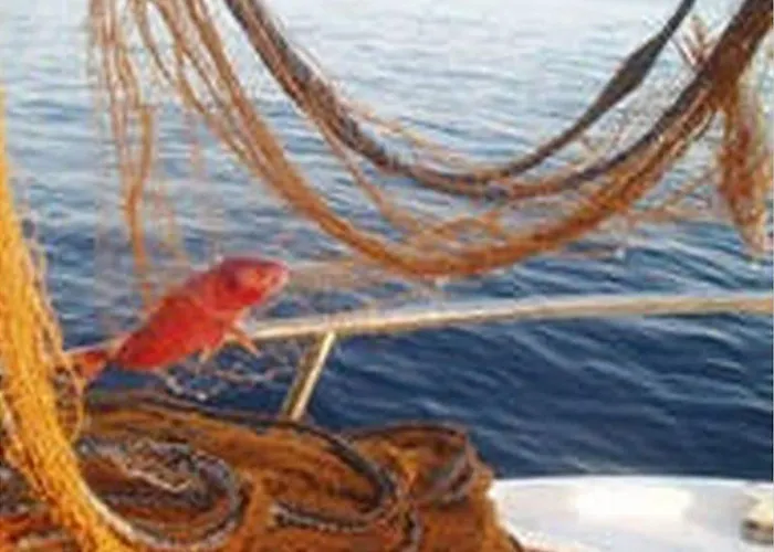 Vera - Comfort One-bedroom With Terrace And Sea View Irena Apartament Okuklje