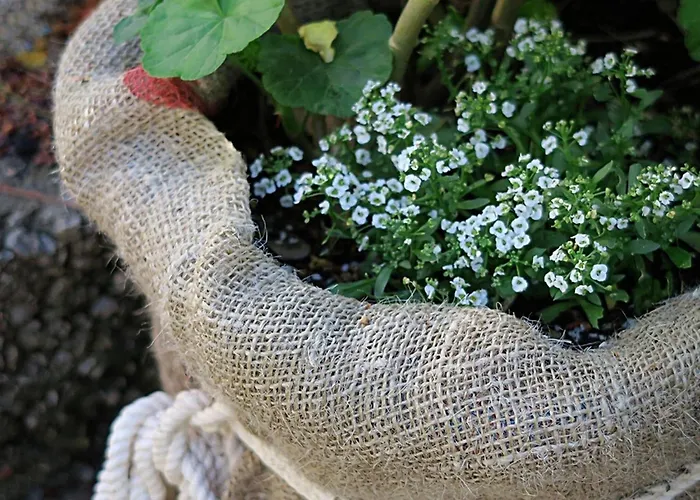 Apartament Vera - Comfort One-bedroom With Terrace And Sea View Irena *